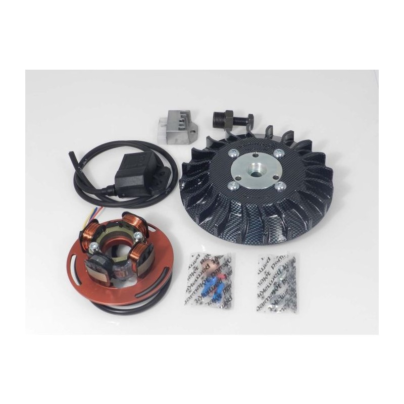 57064.22 ACCENSIONE ELETTRONICA PARMAKIT PESO 1,1KG ANTICIPO VARIABILE VESPA 125 150 200 PX COSA RALLY SPRINT TS GTR LML STAR 2T 57064.22 ACCENSIONE ELETTRONICA PARMAKIT PESO 1,1KG ANTICIPO VARIABILE VESPA 125 150 200 PX COSA RALLY SPRINT TS GTR LML STAR 2T