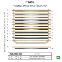 F1489AC NEWFREN - KIT FRIZIONE COMPLETA DISCHI GUARNITI + DISCHI CONDOTTI DUCATI 796 HYPERMOTARD MONSTER