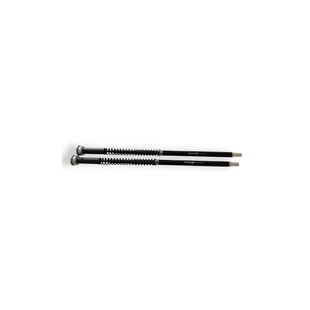 305/A15E ANDREANI Kit cartucce forcella regolabili "MISANO EVO 2" NEW '25 APRILIA Tuono 660 2021-