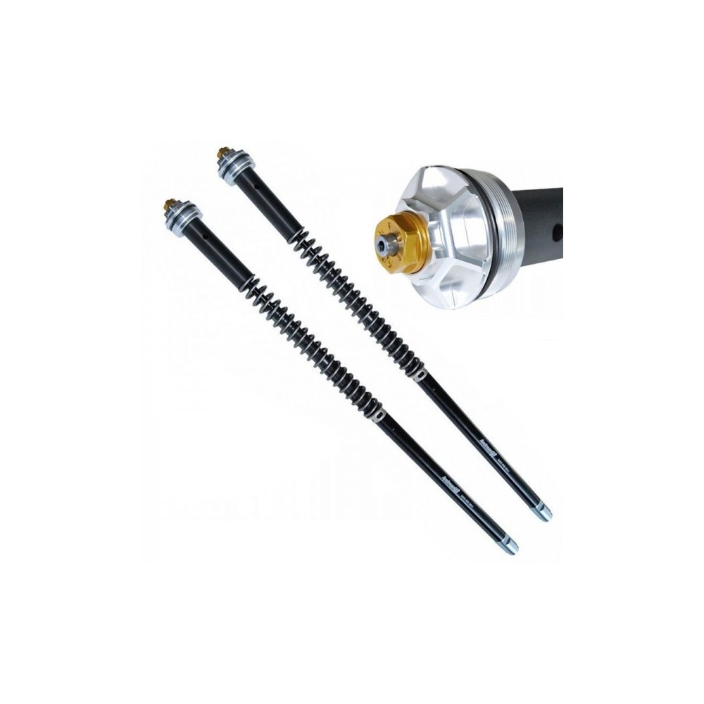 105/F02E ANDREANI Kit cartucce forcella regolabili "MISANO EVO" FANTIC Caballero 700 2024-