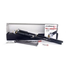 105/D56E ANDREANI Kit cartucce forcella regolabili "MISANO EVO" DUCATI Multistrada V4 1100 2021-