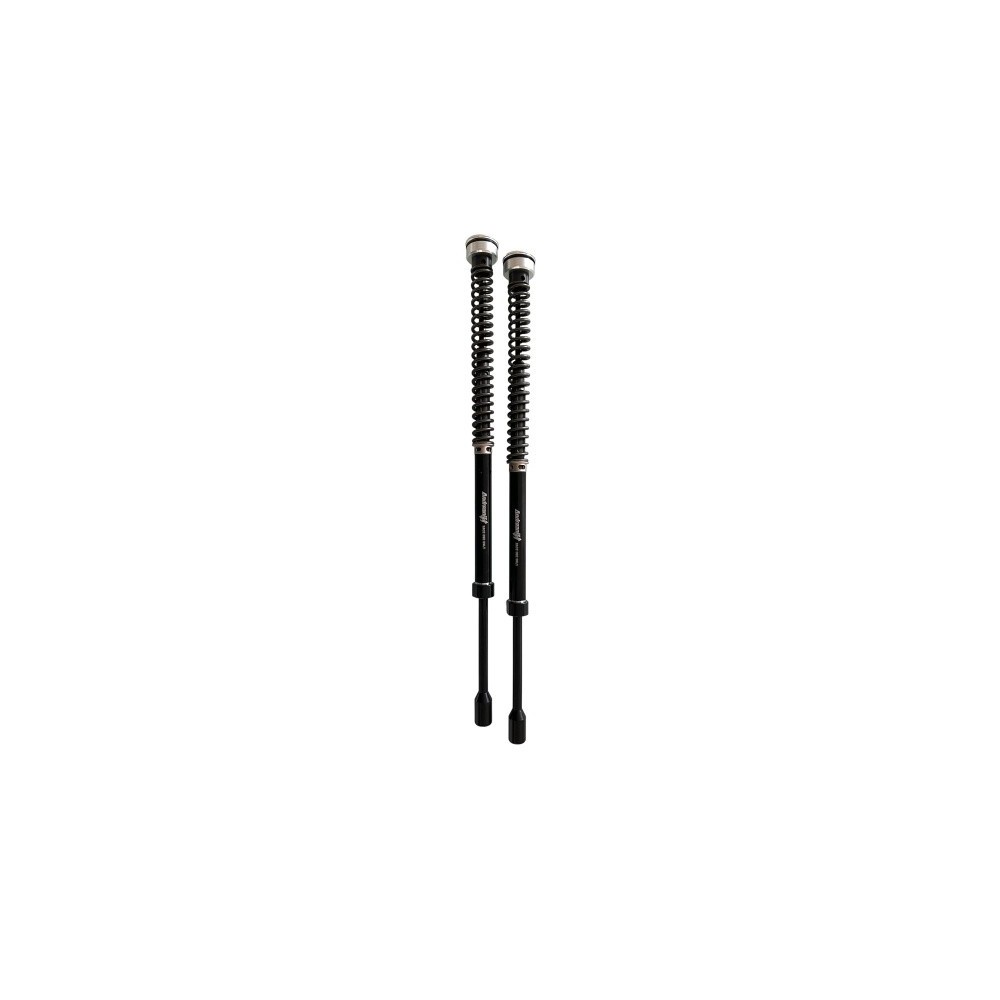 210/HD16E ANDREANI Kit cartucce forcella Plug&Play "MISANO" no regolabili HARLEY DAVIDSON FLH/FLT 2014-24