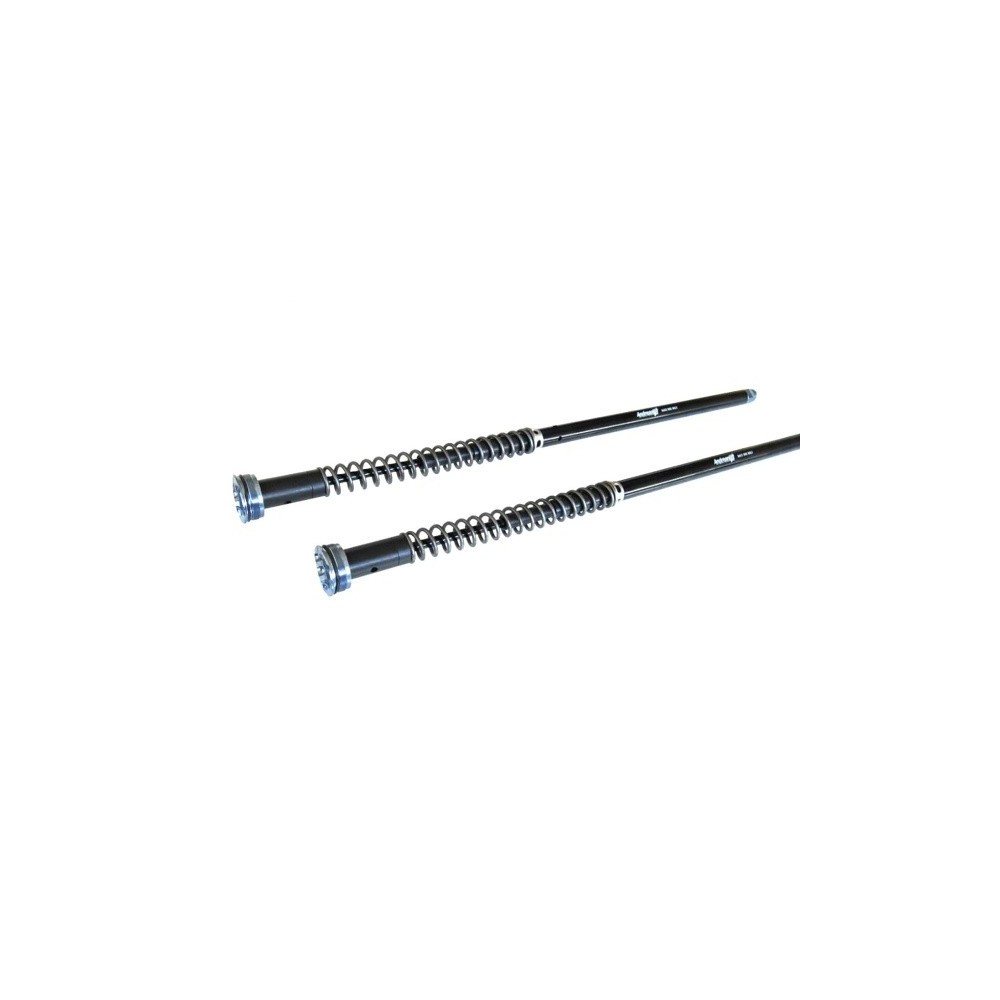 210/HD33E ANDREANI Kit cartucce forcella Plug&Play "MISANO" regolabili HARLEY DAVIDSON FLH/FLT Touring 2013-23