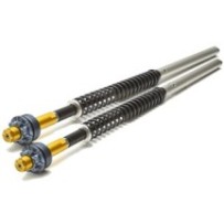 110/HD2 ANDREANI Kit cartucce forcella regolabili "MISANO" HARLEY DAVIDSON Sportster IRON 883 -Nightster XL1200N 2010-