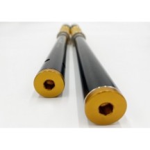 115/HD1E ANDREANI Kit cartucce forcella non regolabili "MISANO EVO" HARLEY DAVIDSON XR 1200 X 2009-12