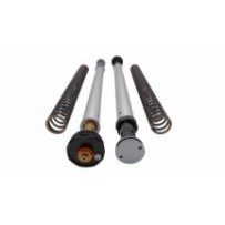 105/H57E ANDREANI Kit cartucce forcella regolabili "MISANO EVO" HONDA CRF 300 L 2021-