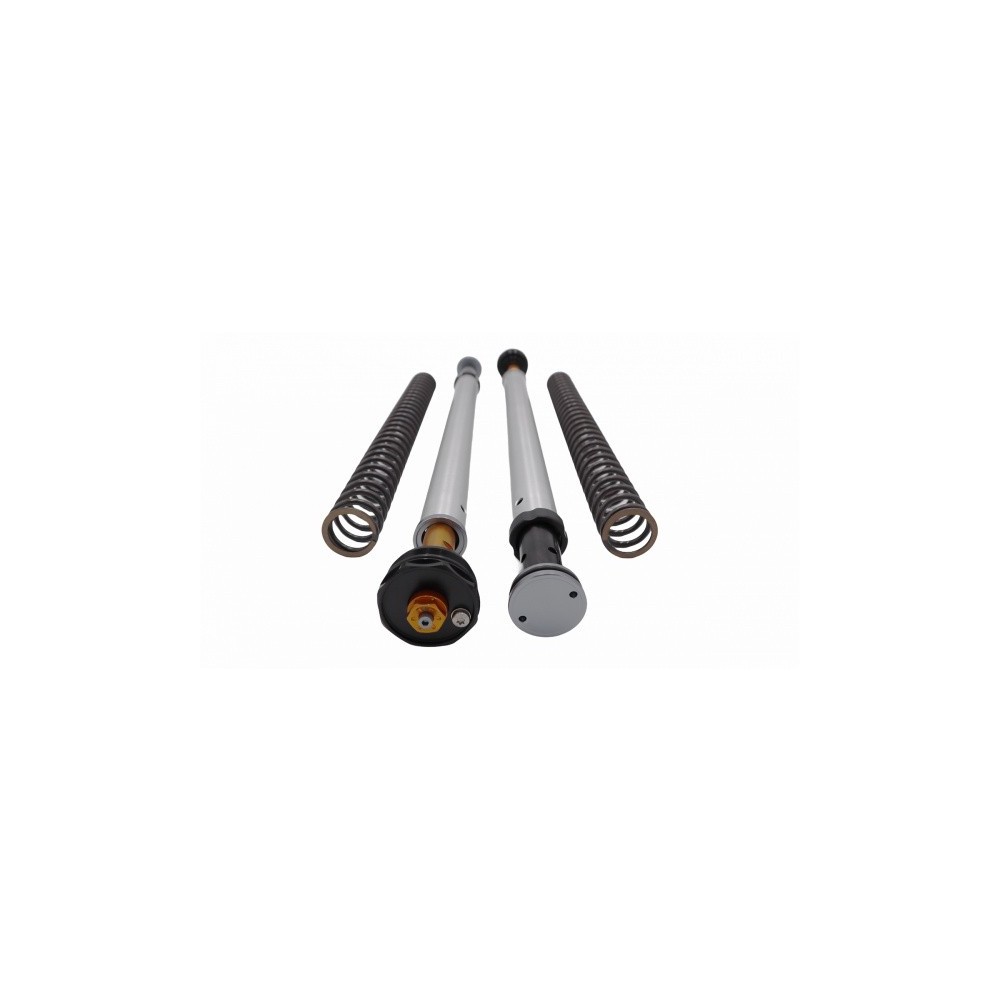 105/H57E ANDREANI Kit cartucce forcella regolabili "MISANO EVO" HONDA CRF 300 L 2021-