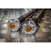 305/KT6E ANDREANI Kit cartucce forcella regolabili "MISANO EVO 2" NEW '25 KTM DUKE 790 2018-23