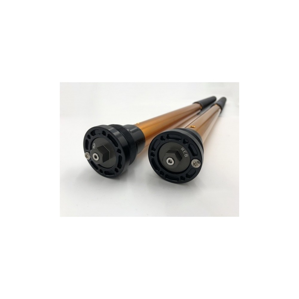 115/Z01E ANDREANI Kit cartucce forcella regolabili "MISANO EVO" ZERO SR-S 2022-