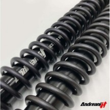 115/Z01E ANDREANI Kit cartucce forcella regolabili "MISANO EVO" ZERO SR-S 2022-