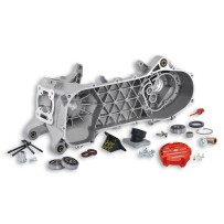 5715844 MALOSSI MHR C-one CARTER MOTORE COMPLETO PIAGGIO NRG MC3 DD 50 2T LC