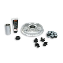 5113595 MALOSSI VARIATORE MULTIVAR 2000 Y. MAJESTY 400 (H317E)