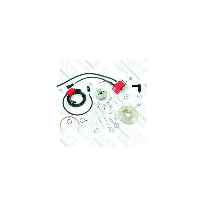 99ARI0100 TOP PERFORMANCE Accensione Rotore Interno TPR FACTORY Moto 50 99ARI0100 TOP PERFORMANCE Accensione Rotore Interno TPR FACTORY Moto 50