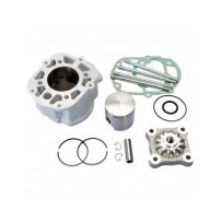 109.0016 KIT GRUPPO TERMICO CILINDRO POLINI IN ALLUMINIO D.50 APRILIA RX / RS 50 2006 MOTORE DERBI