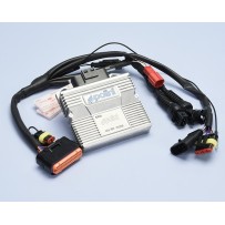 171.0019 CENTRALINA ECU ELETTRONICA POLINI PIAGGIO BEVERLY 300 / VESPA GTS 300 EURO 4 2017 - 2020