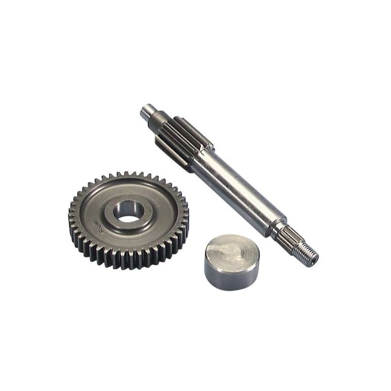 202.1370 INGRANAGGI RAPPORTI POLINI PRIMARI Z 13/44 MBK BOOSTER 50 / MALAGUTI F12 50 PHANTOM / F15 50 FIREFOX 202.1370 INGRANAGGI RAPPORTI POLINI PRIMARI Z 13/44 MBK BOOSTER 50 / MALAGUTI F12 50 PHANTOM / F15 50 FIREFOX