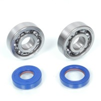282.0003 KIT REVISIONE ALBERO MOTORE CUSCINETTI + PARAOLI POLINI MINARELLI AM6