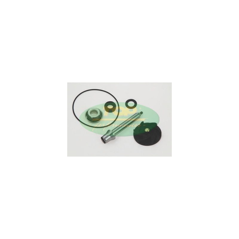 AA00824 TOP PERFORMANCE KIT REVISIONE POMPA H2O PIAGGIO 500 EURO3 AA00824 TOP PERFORMANCE KIT REVISIONE POMPA H2O PIAGGIO 500 EURO3