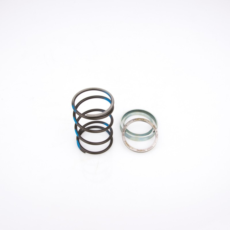 10412024 PINASCO Spring Sliders MOLLA DI CONTRASTO + SLIDER SCOOTER 50CC MINARELLI ORIZZONTALE VERTICALE 10412024 PINASCO Spring Sliders MOLLA DI CONTRASTO + SLIDER SCOOTER 50CC MINARELLI ORIZZONTALE VERTICALE