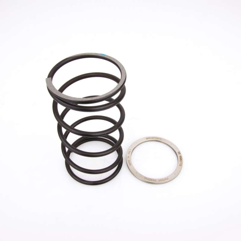 10412083 PINASCO Spring Sliders MOLLA DI CONTRASTO + SLIDER MAXISCOOTER SUZUKI BURGMAN AN 400 ie 4T LC 10412083 PINASCO Spring Sliders MOLLA DI CONTRASTO + SLIDER MAXISCOOTER SUZUKI BURGMAN AN 400 ie 4T LC
