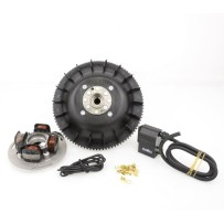 25356831 PINASCO Accensione Flytech Cono 20mm 1,8Kg Vespa PX PE COSA 125 150 200