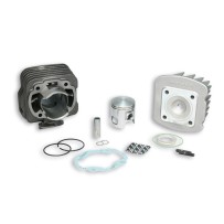 31 8734 MALOSSI GRUPPO TERMICO Ø 47 ghisa sp.Ø 12 HONDA BALI