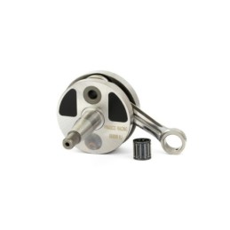 26081889 PINASCO Albero Motore Competizione Corsa 51 Cono 20mm Masse Piene Vespa ET3 125 PK XL Primavera
