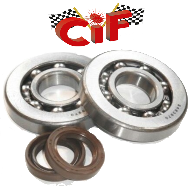Cuscinetto Di Banco Sinistro Per FL, FX, FXR, Dyna, Softail E Touring Dal 1969 Al 2002 Rif OEM 9028